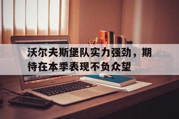 沃尔夫斯堡队实力强劲，期待在本季表现不负众望